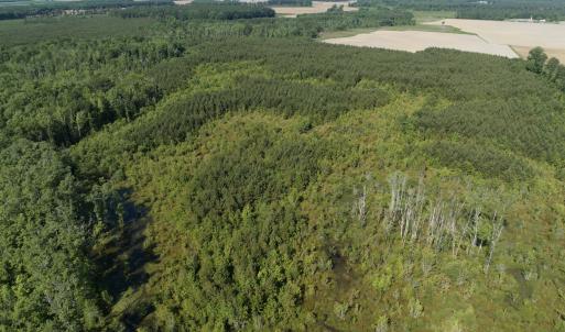 Photo #42 of Off Middle Swamp Rd, Corapeake, NC 234.4 acres