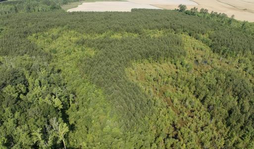 Photo #43 of Off Middle Swamp Rd, Corapeake, NC 234.4 acres