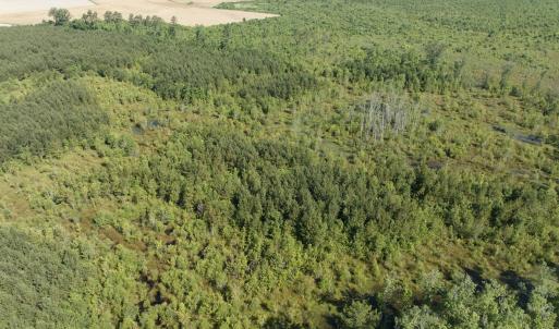 Photo #44 of Off Middle Swamp Rd, Corapeake, NC 234.4 acres