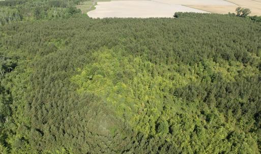 Photo #45 of Off Middle Swamp Rd, Corapeake, NC 234.4 acres