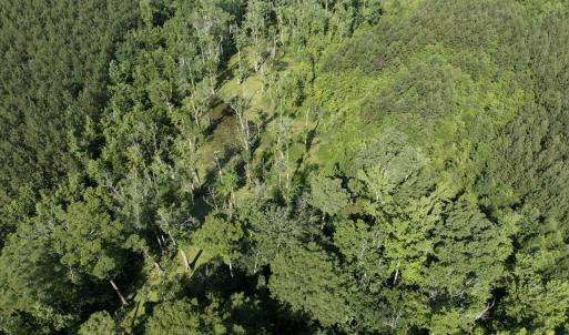 Photo #46 of Off Middle Swamp Rd, Corapeake, NC 234.4 acres