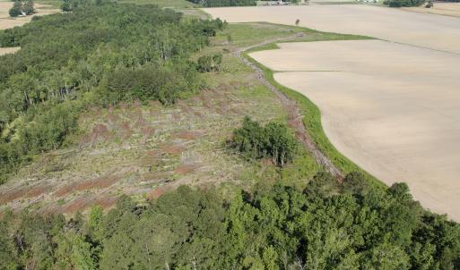 Photo #48 of Off Middle Swamp Rd, Corapeake, NC 234.4 acres