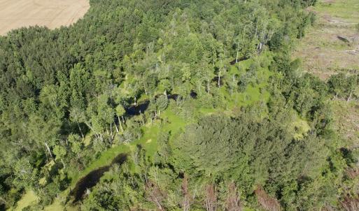Photo #49 of Off Middle Swamp Rd, Corapeake, NC 234.4 acres