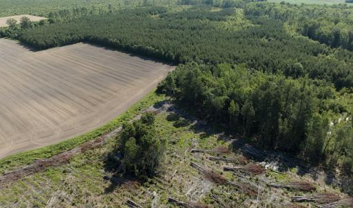 Photo #50 of Off Middle Swamp Rd, Corapeake, NC 234.4 acres