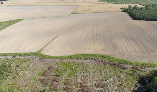 Photo #51 of Off Middle Swamp Rd, Corapeake, NC 234.4 acres