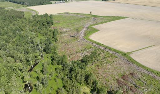 Photo #52 of Off Middle Swamp Rd, Corapeake, NC 234.4 acres