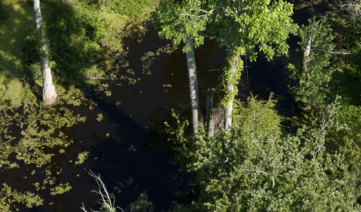 Photo #53 of Off Middle Swamp Rd, Corapeake, NC 234.4 acres