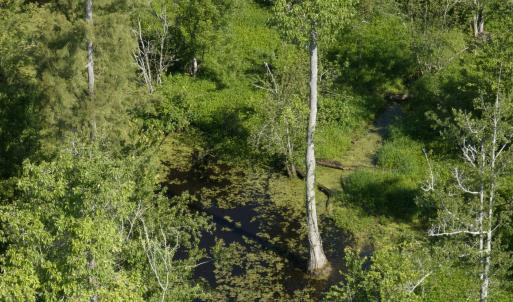 Photo #54 of Off Middle Swamp Rd, Corapeake, NC 234.4 acres