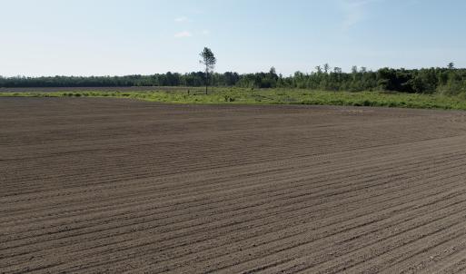 Photo #58 of Off Middle Swamp Rd, Corapeake, NC 234.4 acres