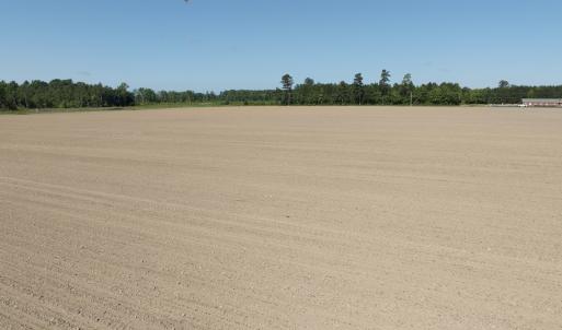 Photo #59 of Off Middle Swamp Rd, Corapeake, NC 234.4 acres