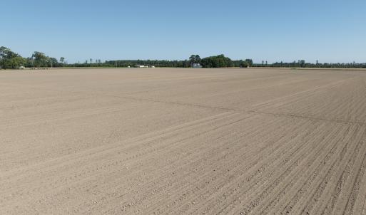 Photo #60 of Off Middle Swamp Rd, Corapeake, NC 234.4 acres