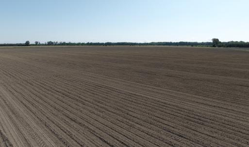 Photo #61 of Off Middle Swamp Rd, Corapeake, NC 234.4 acres