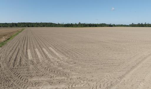 Photo #63 of Off Middle Swamp Rd, Corapeake, NC 234.4 acres
