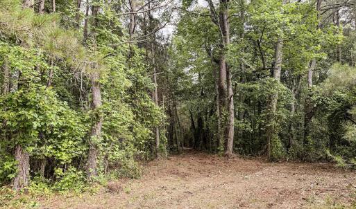 Photo #12 of Off Chinquapin Rd, Wakefield, VA 13.3 acres