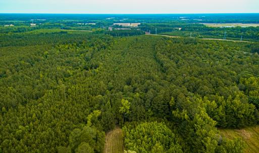 Photo #1 of Off Chinquapin Rd, Wakefield, VA 13.3 acres