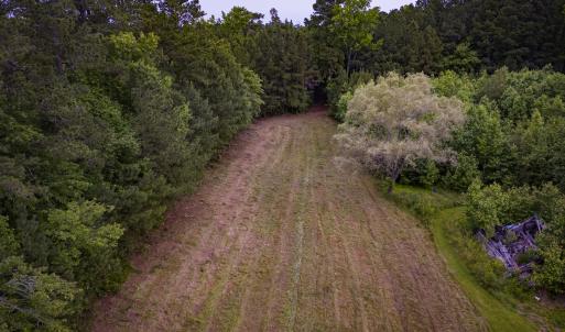 Photo #3 of Off Chinquapin Rd, Wakefield, VA 13.3 acres
