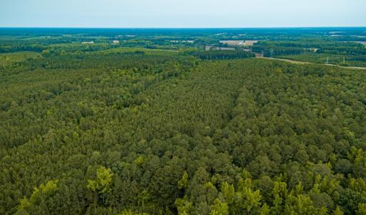 Photo #24 of Off Chinquapin Rd, Wakefield, VA 13.3 acres