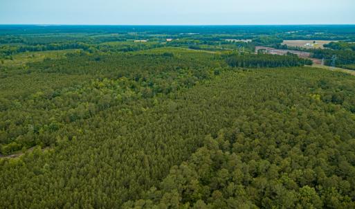 Photo #25 of Off Chinquapin Rd, Wakefield, VA 13.3 acres