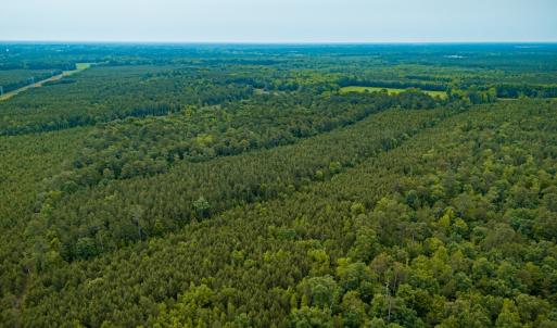 Photo #26 of Off Chinquapin Rd, Wakefield, VA 13.3 acres
