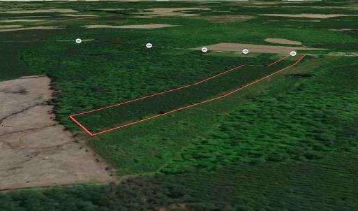 Photo #27 of Off Chinquapin Rd, Wakefield, VA 13.3 acres