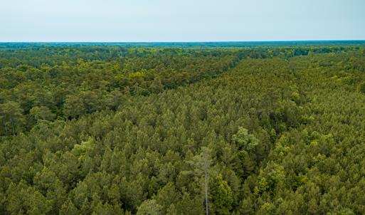Photo #28 of Off Chinquapin Rd, Wakefield, VA 13.3 acres