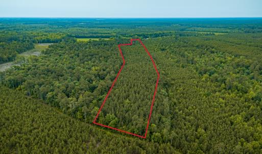 Photo #29 of Off Chinquapin Rd, Wakefield, VA 13.3 acres