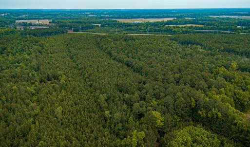 Photo #30 of Off Chinquapin Rd, Wakefield, VA 13.3 acres