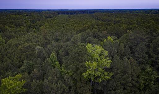Photo #31 of Off Chinquapin Rd, Wakefield, VA 13.3 acres
