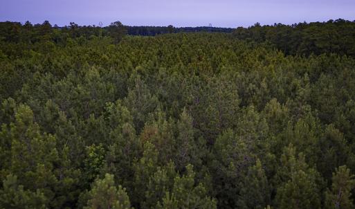 Photo #32 of Off Chinquapin Rd, Wakefield, VA 13.3 acres