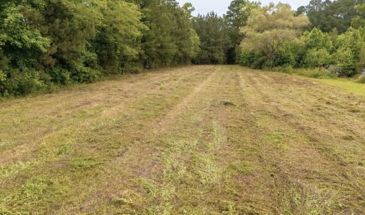 Photo #5 of Off Chinquapin Rd, Wakefield, VA 13.3 acres