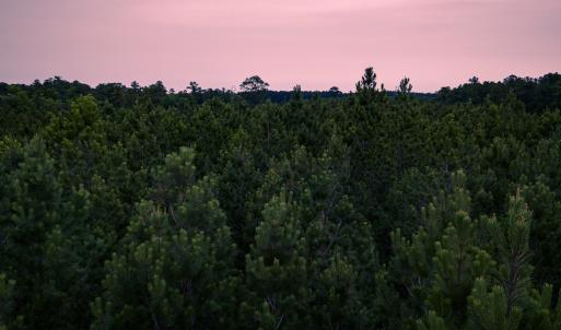 Photo #33 of Off Chinquapin Rd, Wakefield, VA 13.3 acres