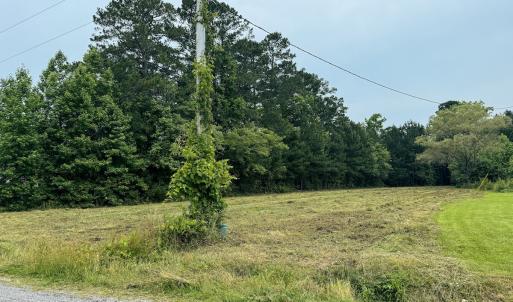 Photo #6 of Off Chinquapin Rd, Wakefield, VA 13.3 acres