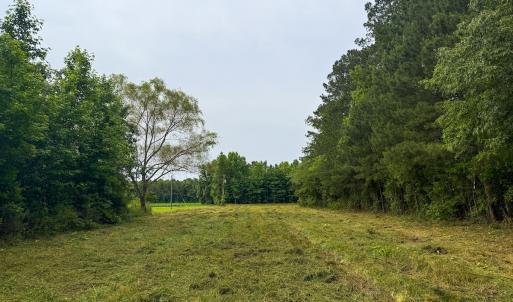 Photo #10 of Off Chinquapin Rd, Wakefield, VA 13.3 acres