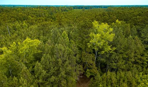 Photo #11 of Off Chinquapin Rd, Wakefield, VA 13.3 acres