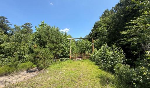 Photo #8 of 5799 Tolarsville Road , Saint Pauls , NC 439.0 acres