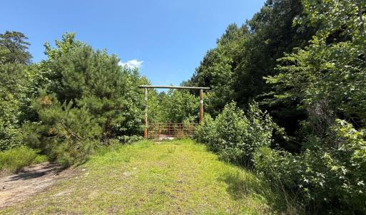 Photo #9 of 5799 Tolarsville Road , Saint Pauls , NC 439.0 acres