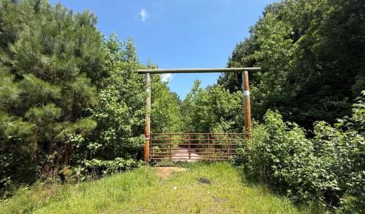 Photo #10 of 5799 Tolarsville Road , Saint Pauls , NC 439.0 acres