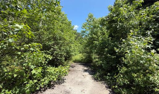 Photo #11 of 5799 Tolarsville Road , Saint Pauls , NC 439.0 acres