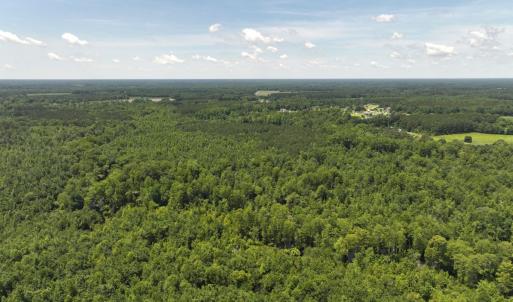 Photo #12 of 5799 Tolarsville Road , Saint Pauls , NC 439.0 acres