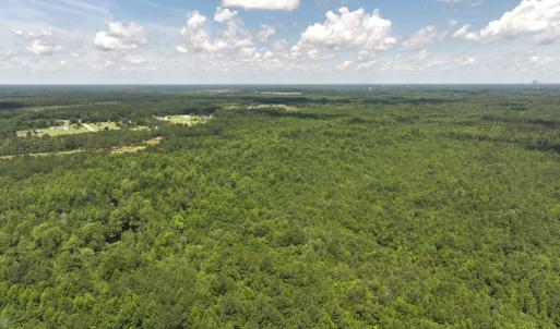 Photo #13 of 5799 Tolarsville Road , Saint Pauls , NC 439.0 acres