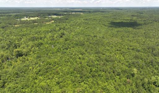 Photo #15 of 5799 Tolarsville Road , Saint Pauls , NC 439.0 acres