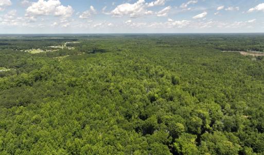 Photo #1 of 5799 Tolarsville Road , Saint Pauls , NC 439.0 acres
