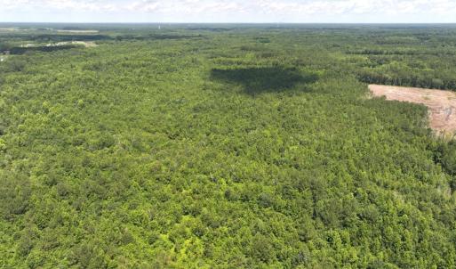 Photo #16 of 5799 Tolarsville Road , Saint Pauls , NC 439.0 acres