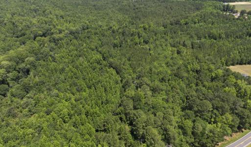 Photo #18 of 5799 Tolarsville Road , Saint Pauls , NC 439.0 acres