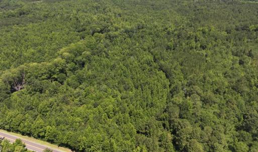 Photo #19 of 5799 Tolarsville Road , Saint Pauls , NC 439.0 acres