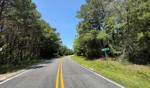 Photo #21 of 5799 Tolarsville Road , Saint Pauls , NC 439.0 acres