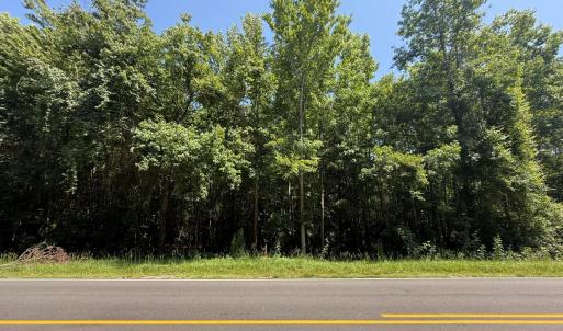 Photo #23 of 5799 Tolarsville Road , Saint Pauls , NC 439.0 acres