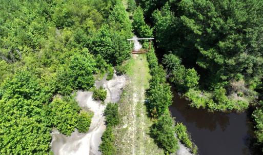 Photo #3 of 5799 Tolarsville Road , Saint Pauls , NC 439.0 acres