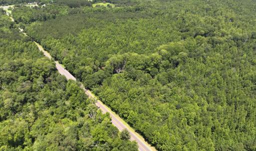 Photo #28 of 5799 Tolarsville Road , Saint Pauls , NC 439.0 acres