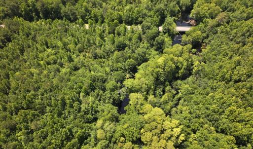 Photo #29 of 5799 Tolarsville Road , Saint Pauls , NC 439.0 acres